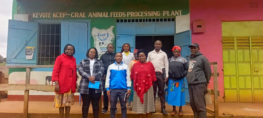 Kivuti Giant Cooperative society - Embu